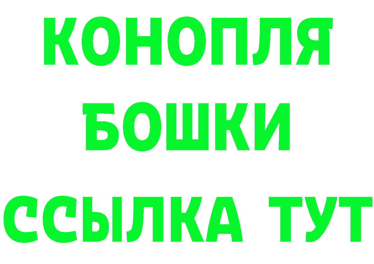 Canna-Cookies конопля как войти даркнет hydra Новодвинск